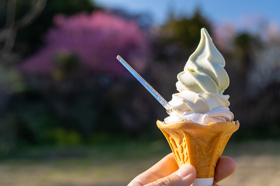 三春三色アイス