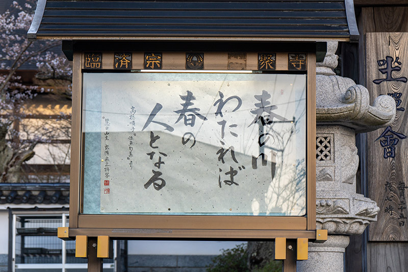 春の川渡れば…