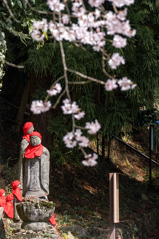 大蔵寺のお地蔵さん