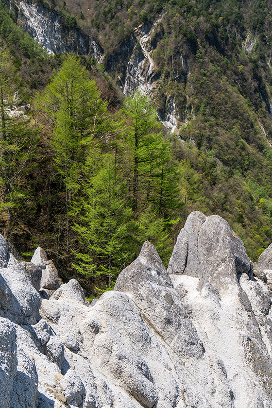 花崗岩の尾根と新緑のカラマツ
