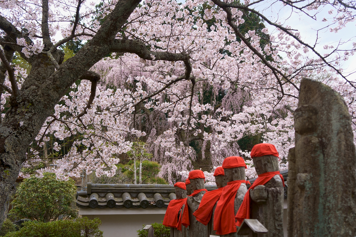 福聚寺にて