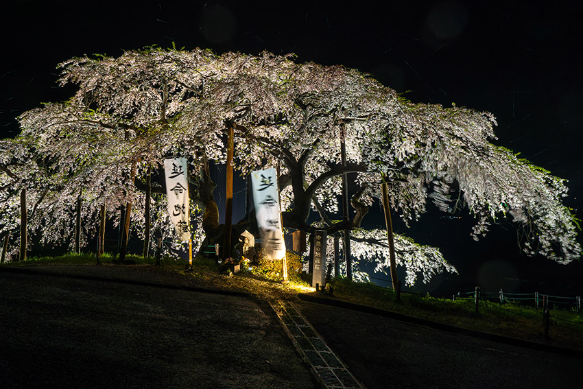 「延命尊」の幟とともに