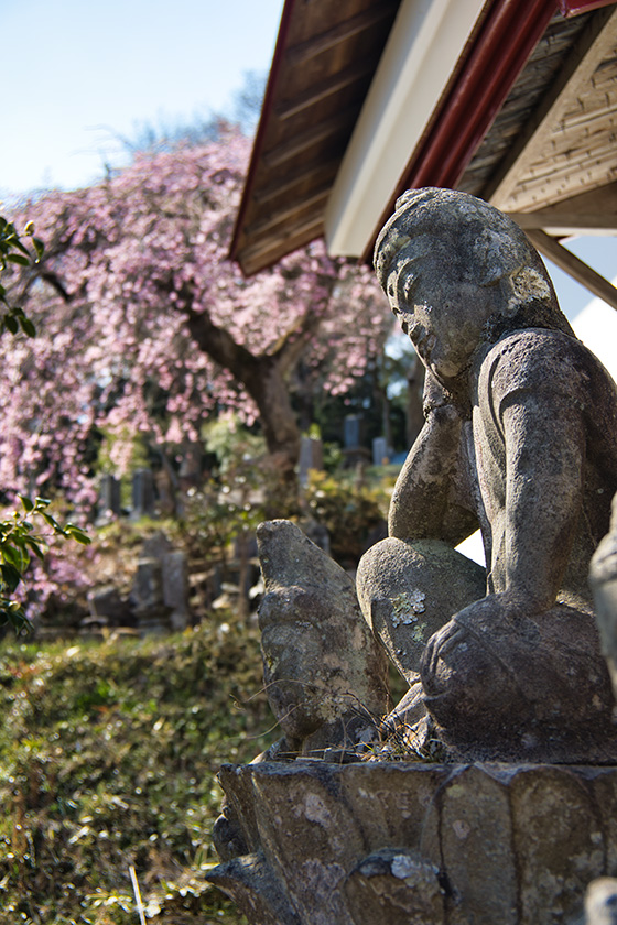 仏様もリラックス