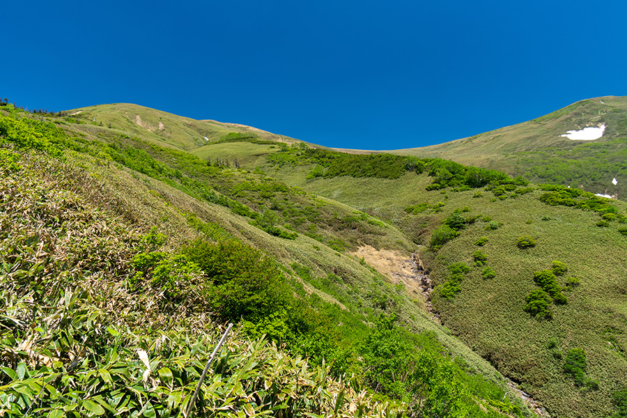 平標山〜仙ノ倉山の稜線
