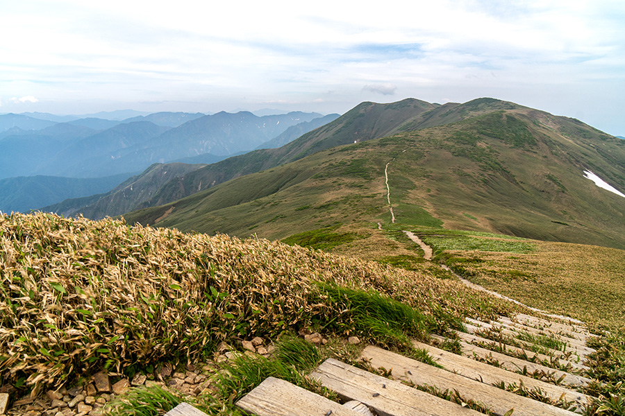 縦走路と仙ノ倉山