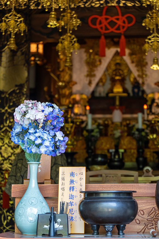 アジサイとご本尊