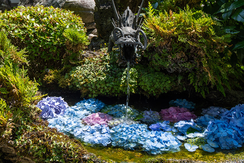 花手水正面