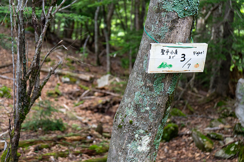 カウントダウンの標識