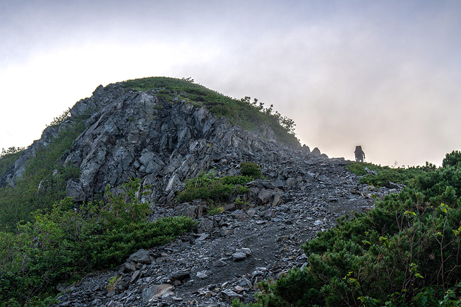 森林限界を突破