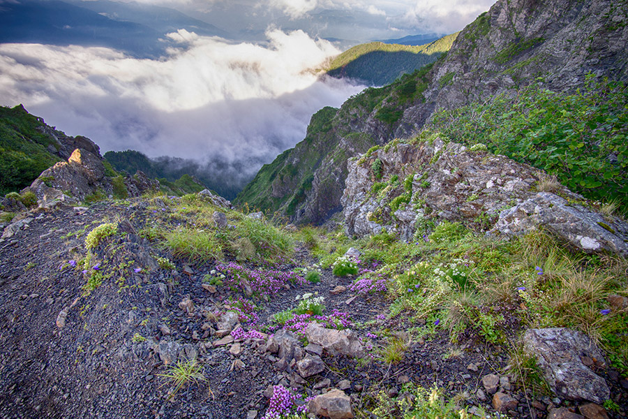 聖岳西壁を見下ろす