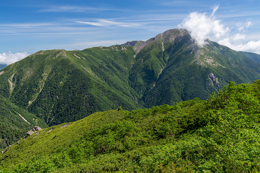 右を見れば赤石岳