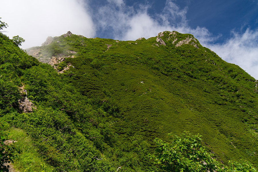 兎岳へのキツい登り