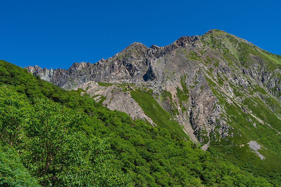 荒川前岳を見上げる