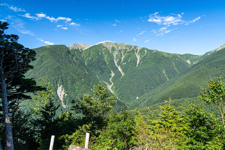 見晴台から赤石岳