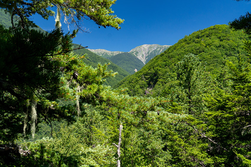 荒川三山