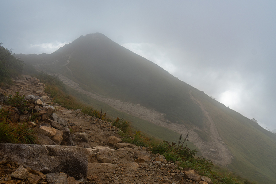 上の方はしっかり山道です