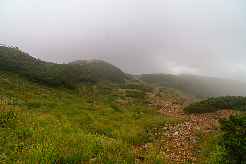 湿原もあります