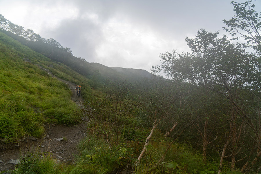 また森林限界？