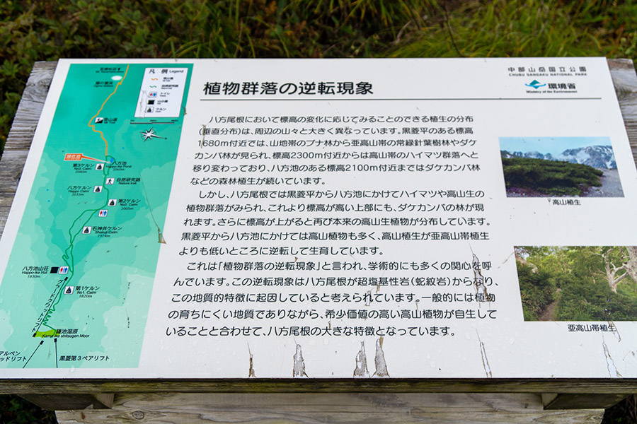 「植物群落の逆転現象」