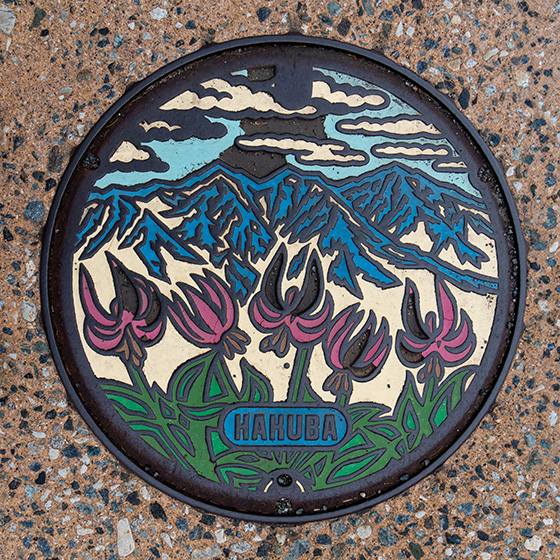 白馬のマンホールはカタクリ