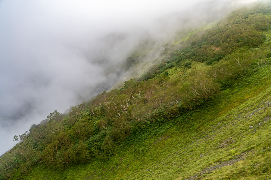 時おり見える広大な光景に息を呑む
