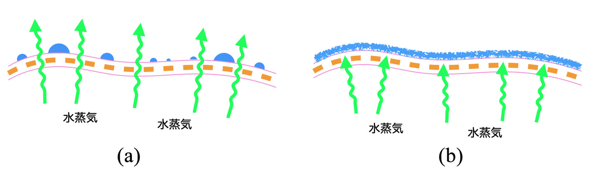 撥水性は重要です