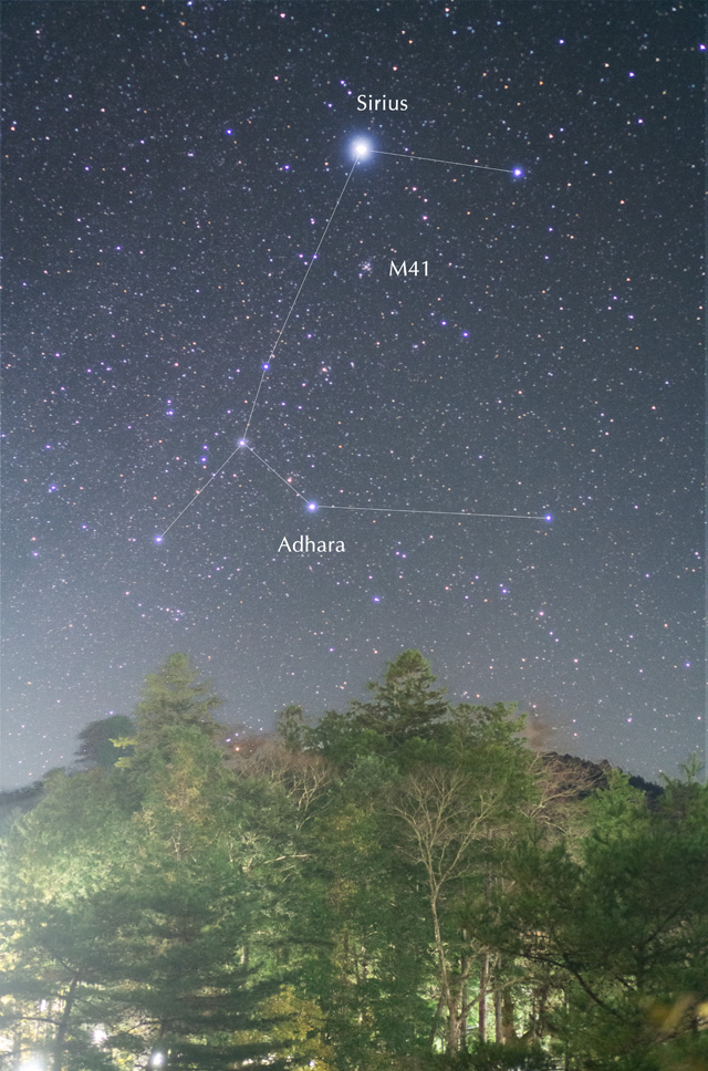 おおいぬ座 星の名前入り