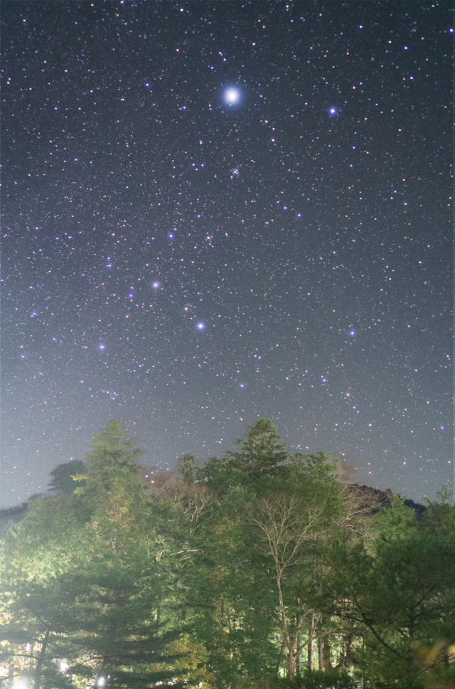 「縦構図の星空写真」には，バリアングルが便利