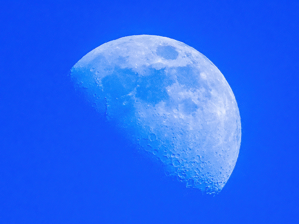 昼の月…クレーターがクッキリ