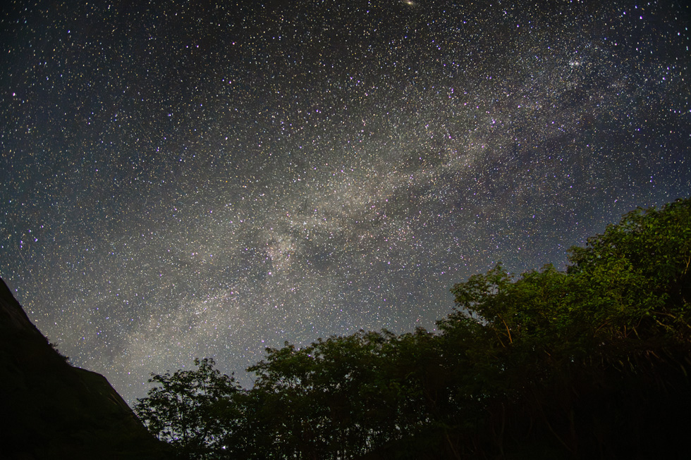 iso 4000 でこれくらいの画質です