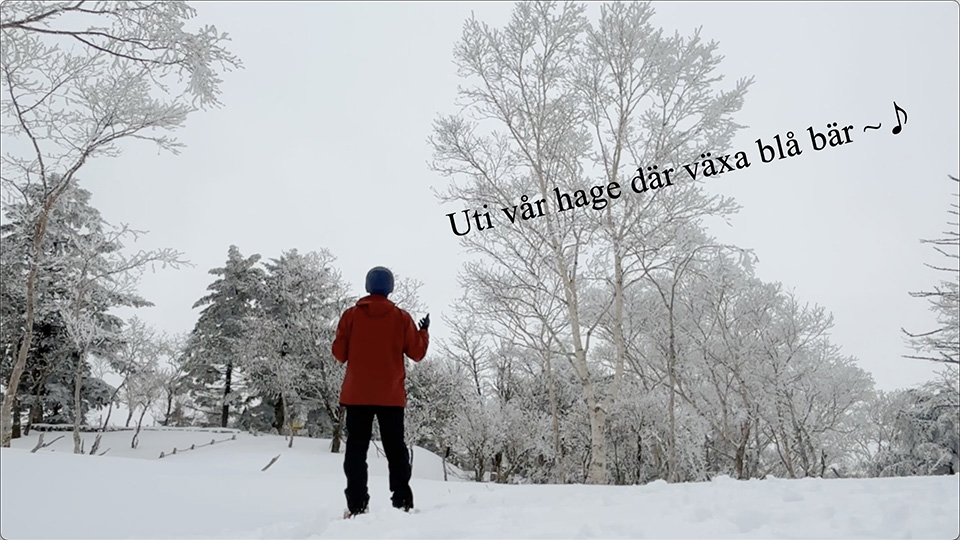 Uti vår hage