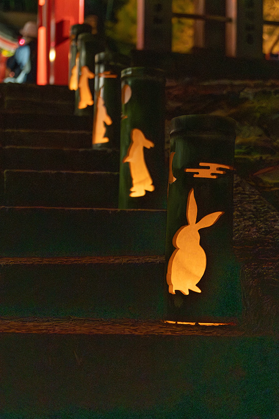 うさぎさんたちに見送られて神社をあとに