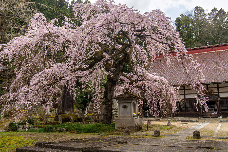 大隣寺は旧二本松藩主丹波氏の菩提寺