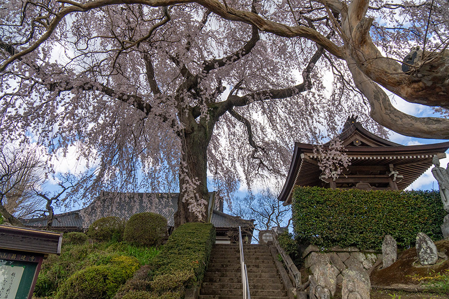 昌建寺境内へ
