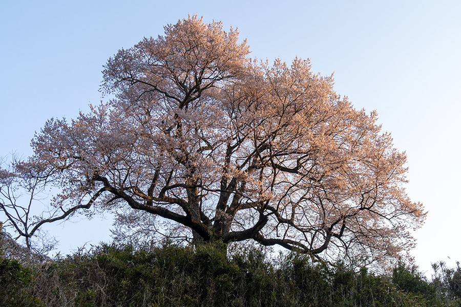 斜面の下から見上げる