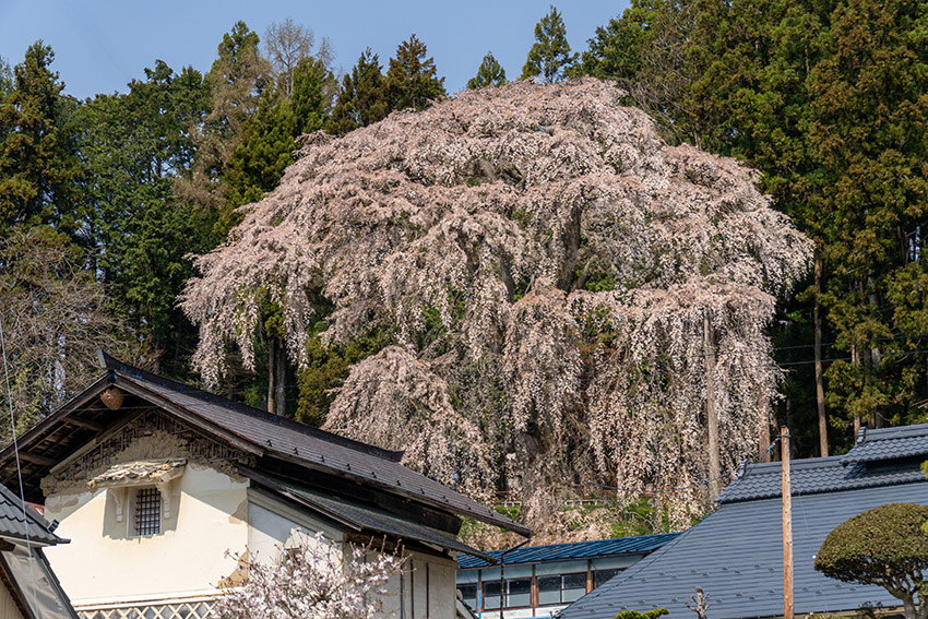 住宅を見下ろす高台にあります