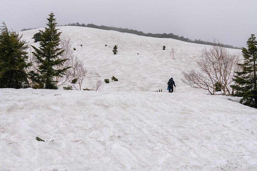今年は雪が多いな…！