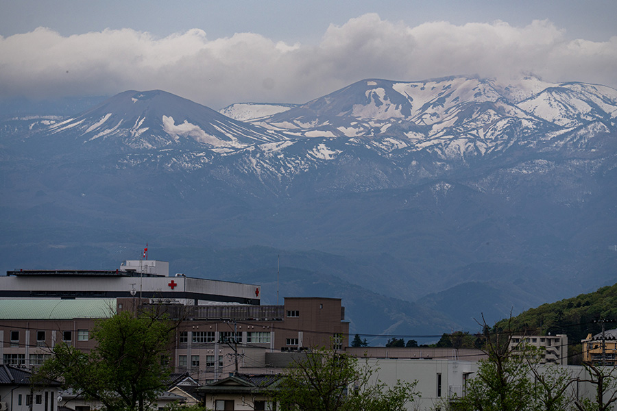 雪うさぎ