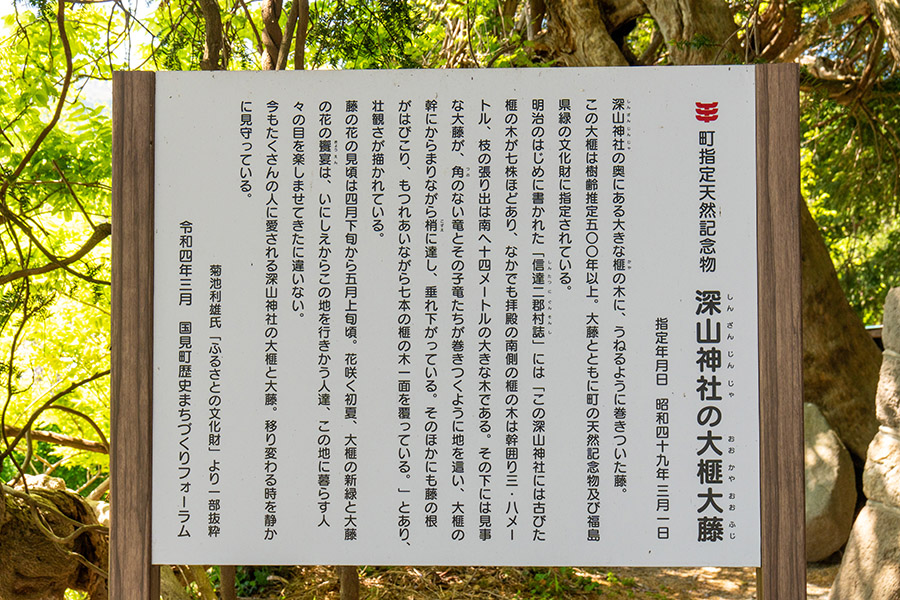樹齢500年以上
