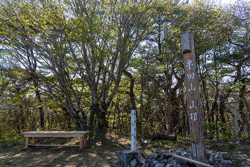 半田山頂上