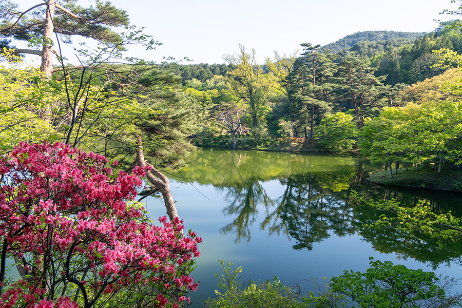 湖畔に下りてきました