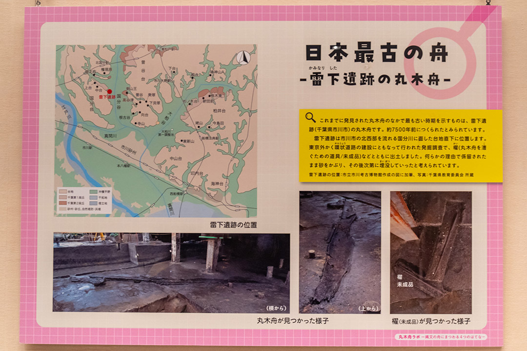 雷下遺跡の丸木舟