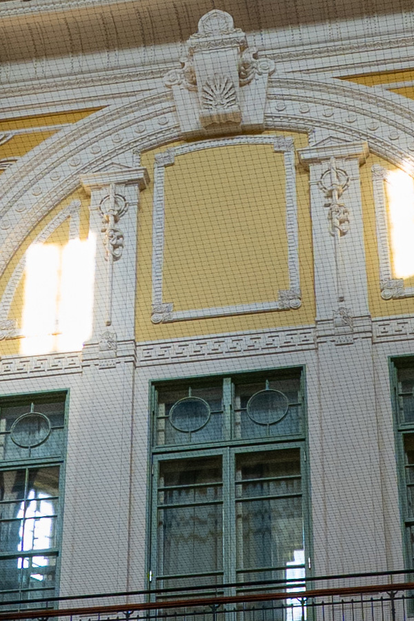 上の写真の中央付近を等倍で