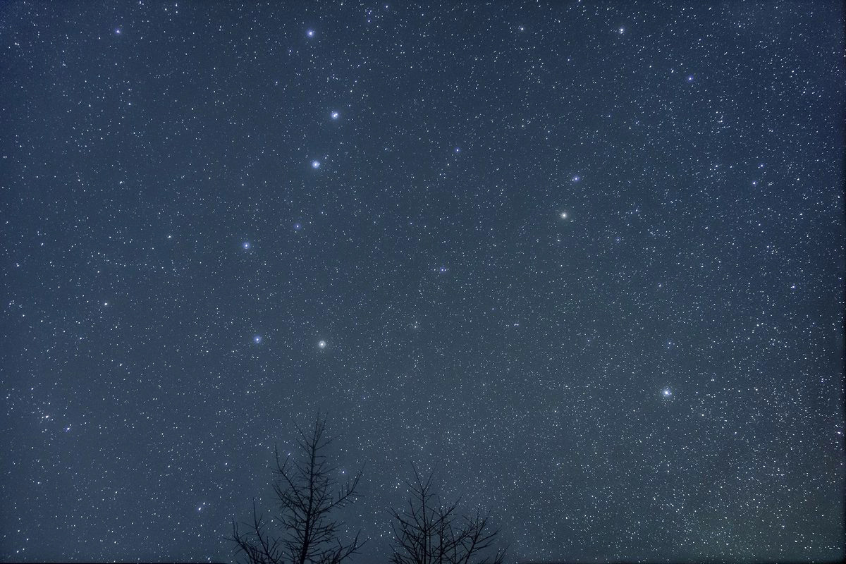 こぐまのひたいのうへは　星のめぐりのめあて