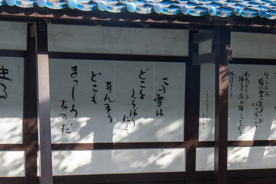 この雪はどこを選ぼうにも…