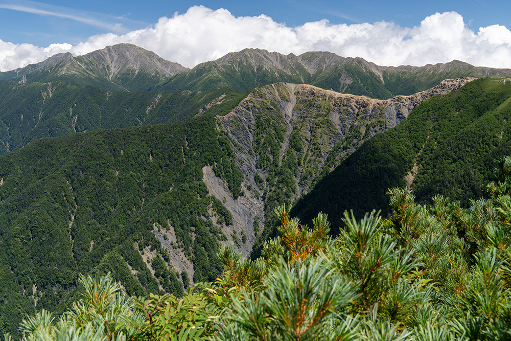 間ノ岳と農鳥岳，手前に仙塩尾根