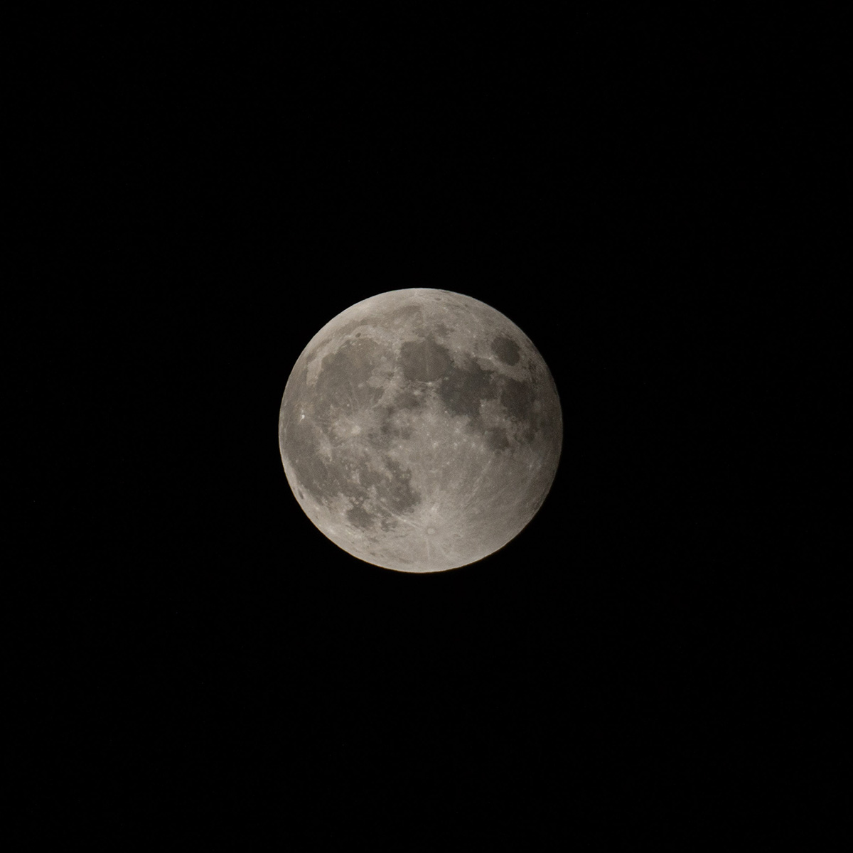 1/1600 秒,F8,iso 200