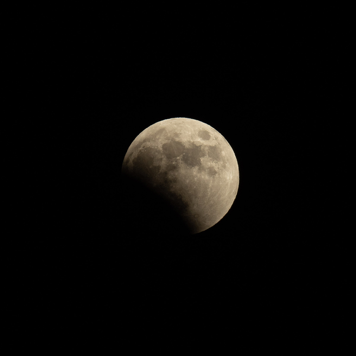 1/800 秒,F8,iso 400