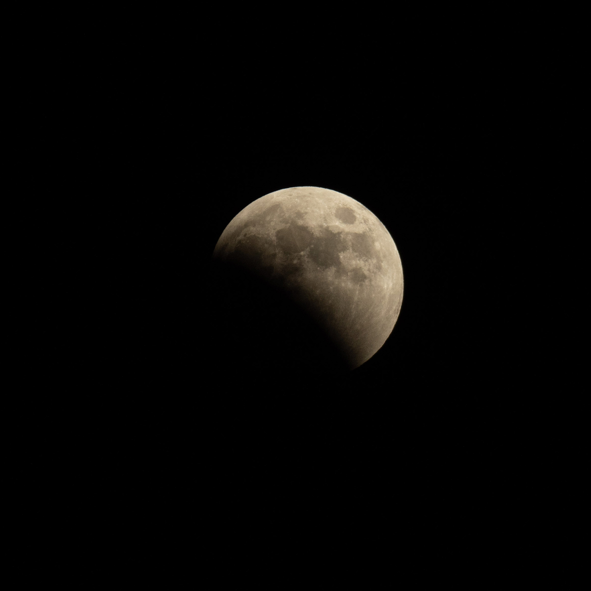 1/800 秒,F8,iso 400