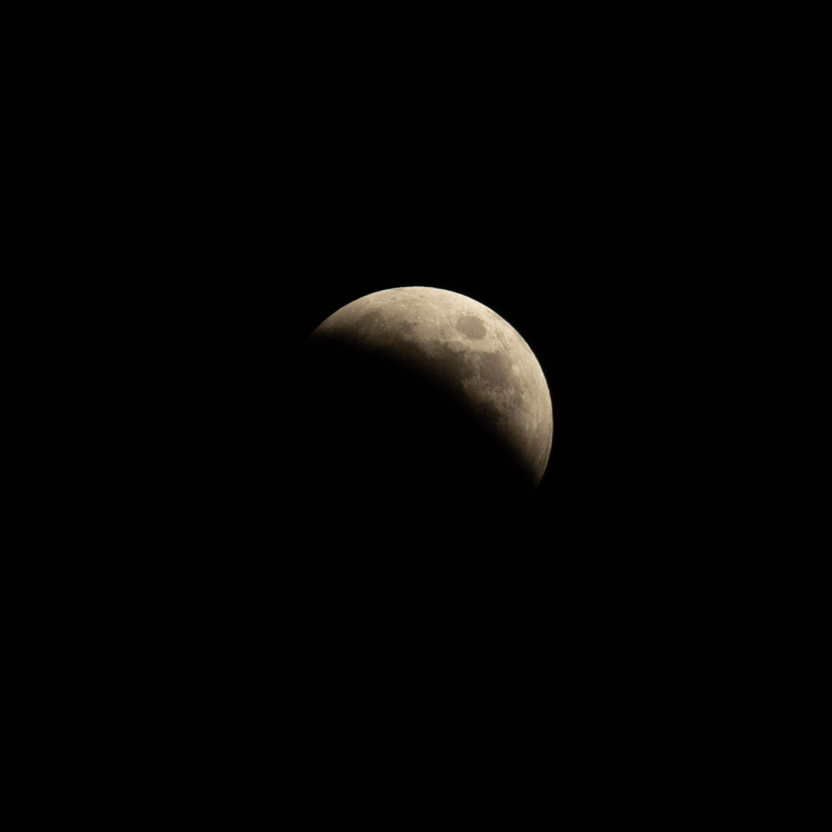1/250 秒,F8,iso 400